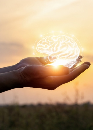 Psychologie Vectorielle, Vacances en famille, Développement personnel